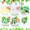 24 Pcs St. Patrick's Day Craft Kit Lucky Shamrock Suncatcher Craft Irish Day Window DIY Tissue Paper Suncatcher Decoration Ornament for Classroom St Patricks Party Favor Supplies